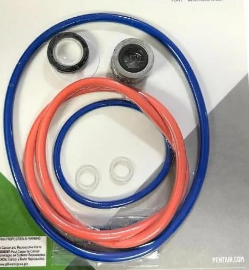 IntelliFlo3 & IntelliPro3 VSF Pump Seal Kit, 3 HP
