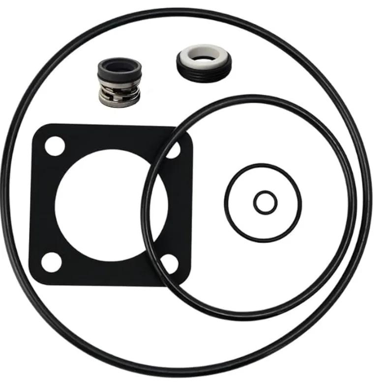 P2RA & P2R DuraGlas/Max-E-Glas Pump Rebuild Kit