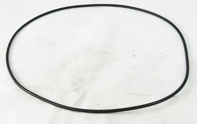 Motor Clamp O-Ring, Replacement for Astral Pumps