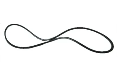 Filter Lid O-Ring, Replacement for Astral Filters