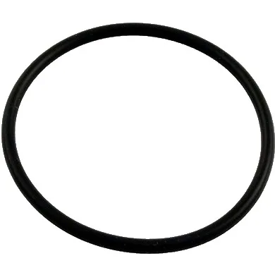 O-Ring, Compatible with Astral