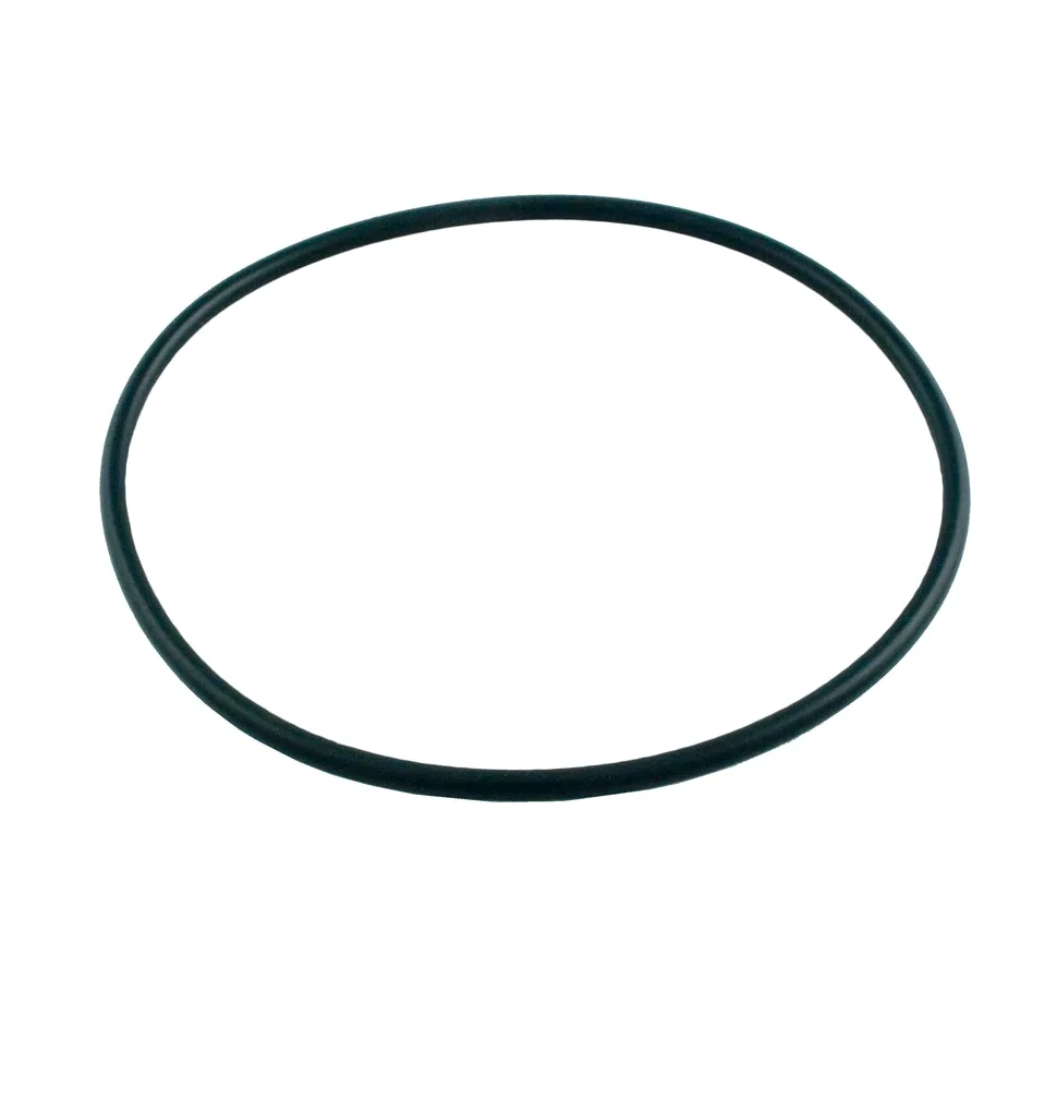 Valve Top O-Ring, 6-Inch OD, 5-5/8-Inch ID, Replacement for Pentair
