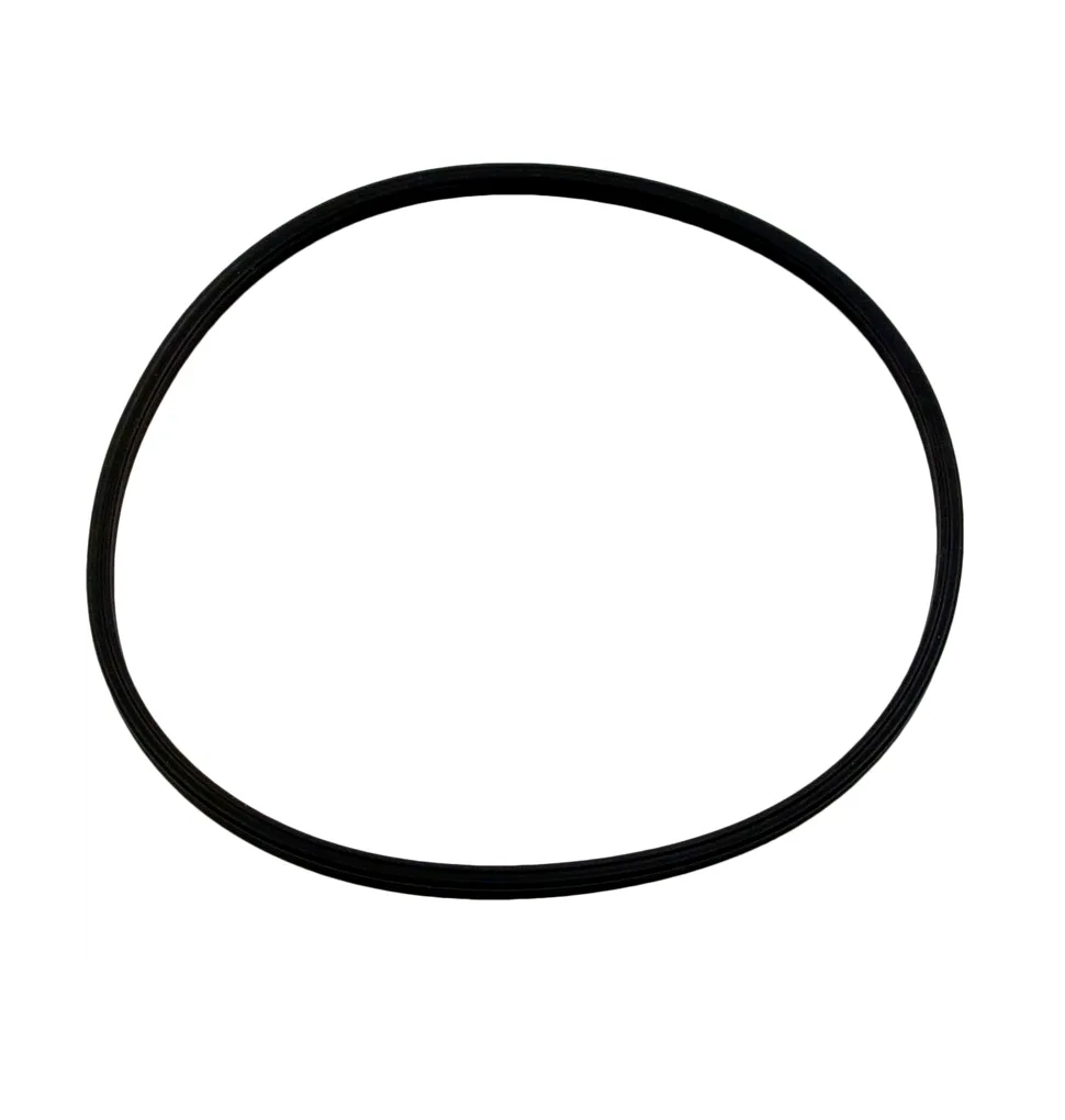 Lid Quad Ring, O-389, for S/M Multiport Valves, Replacement for Pentair