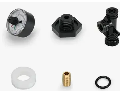 Valve and Pressure Gauge Assembly for Sta-Rite System 3