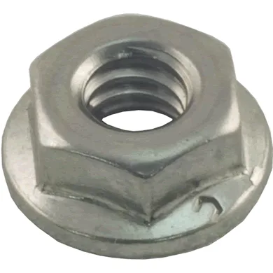 Flange Nut Kit, 1/4-20, Replacement for Raypak