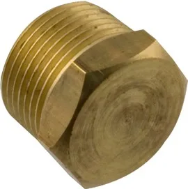 Bouchon de collecteur d'entrée et de sortie, 3/4-Inch, laiton, remplacement pour Teledyne Laars