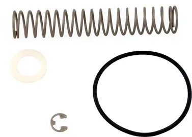 Ressort de bypass, remplacement pour chauffages Teledyne Laars